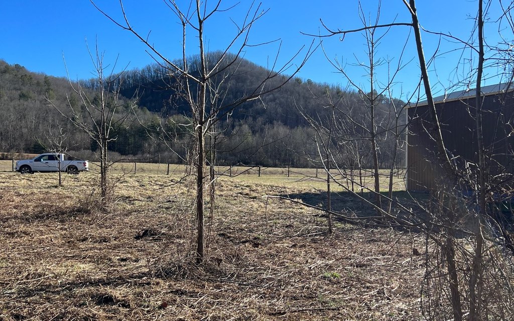Picture 6