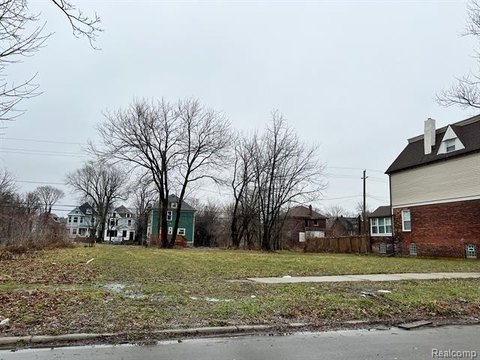 Detroit Land Infill Opportunity