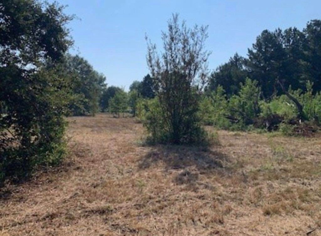 Picture 6