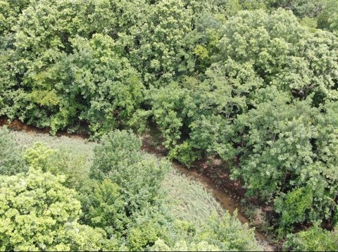 Land, Haworth, OK