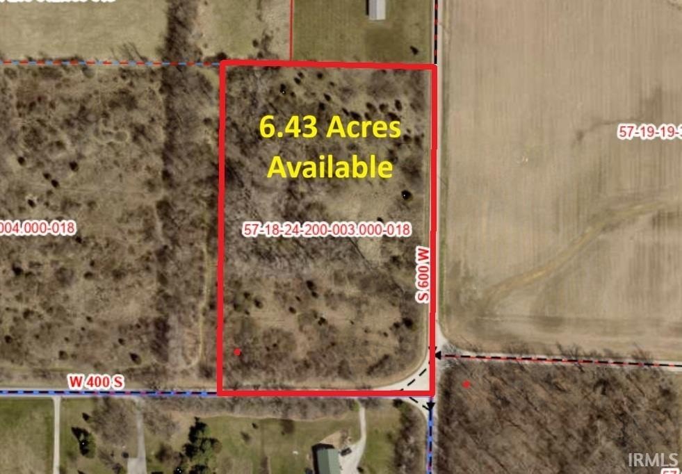 Picture 3