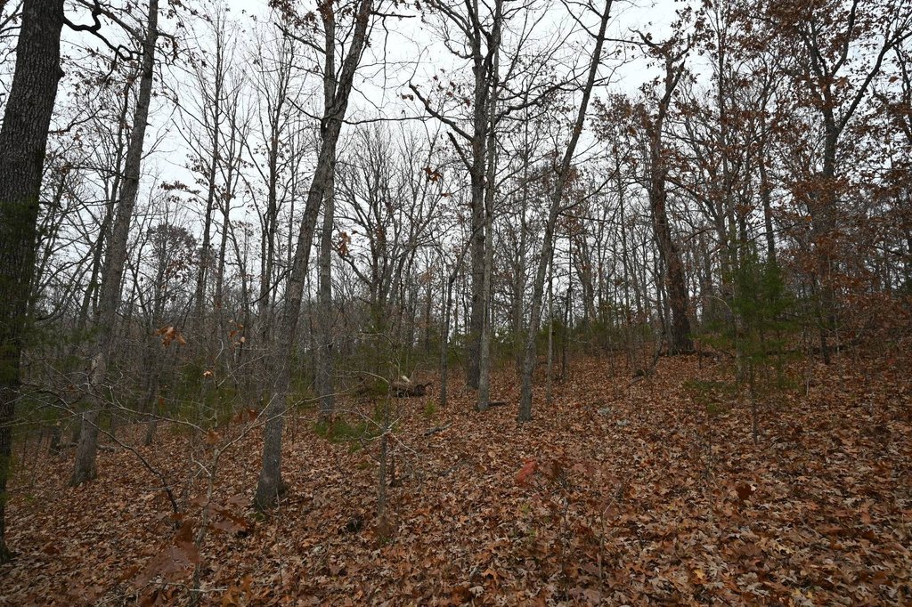 Picture 9