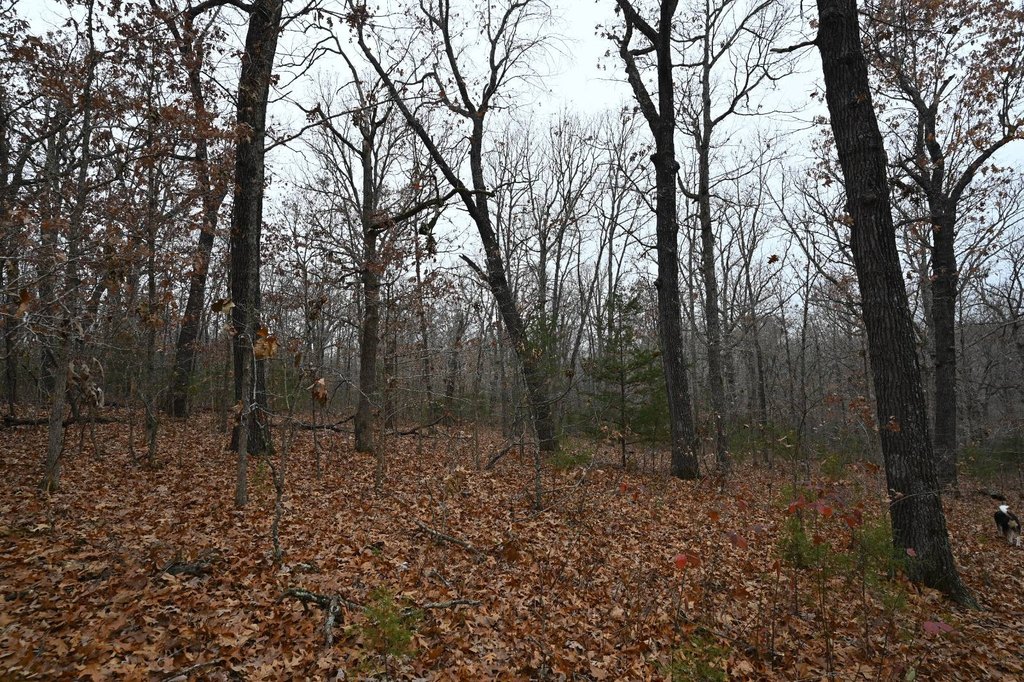 Picture 7