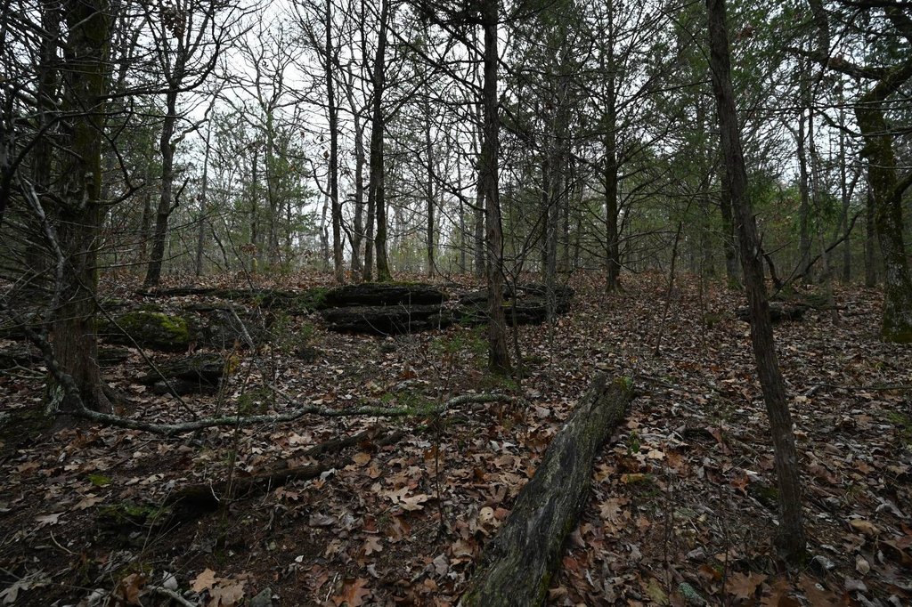 Picture 15