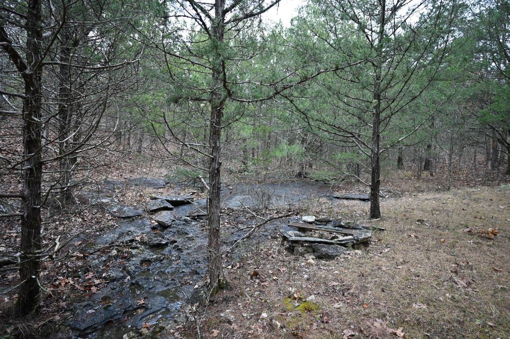Picture 13