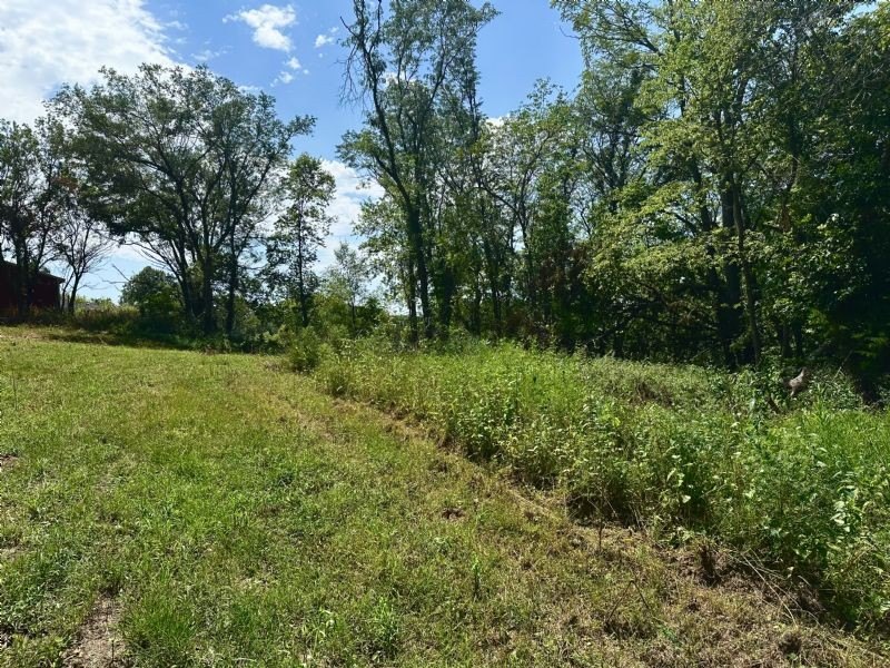 Picture 6