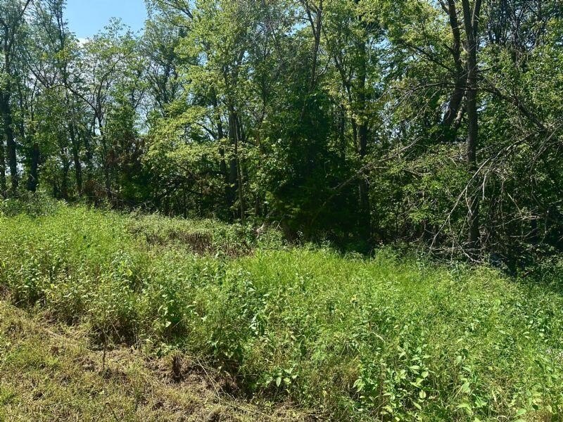 Picture 8