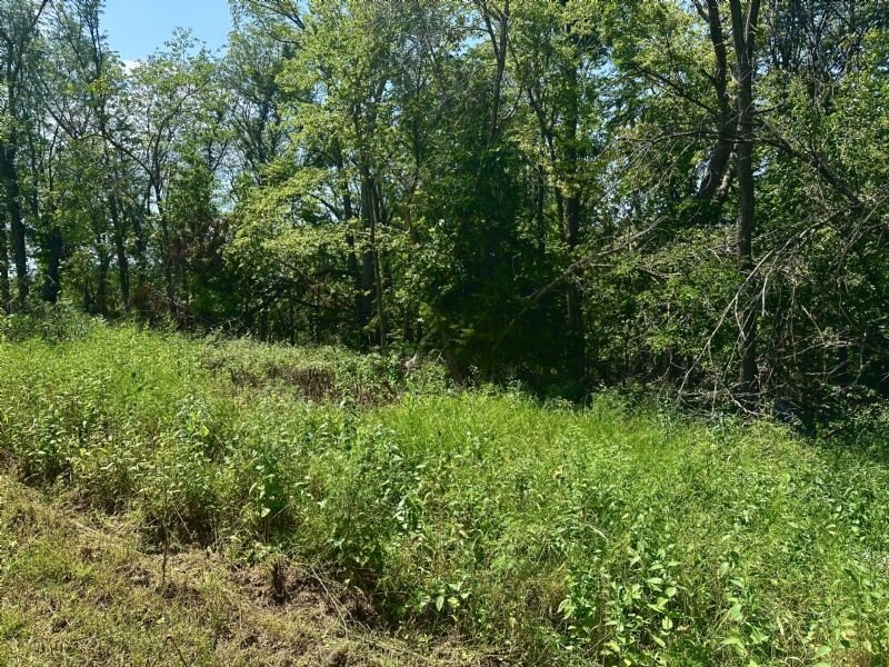 Picture 8