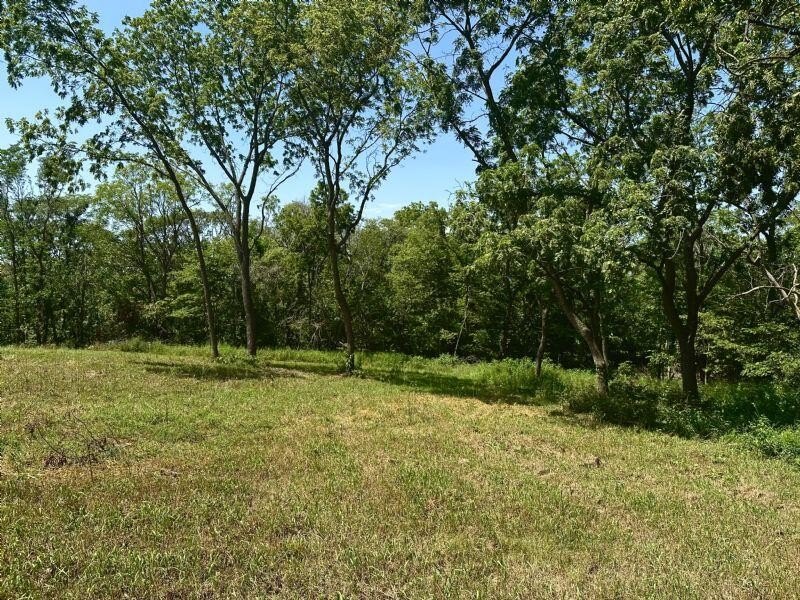 Picture 3