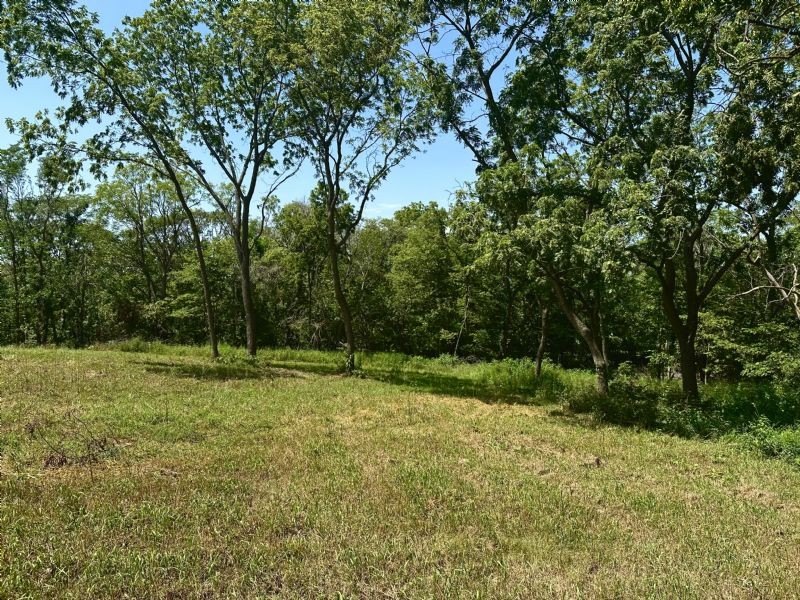 Picture 3