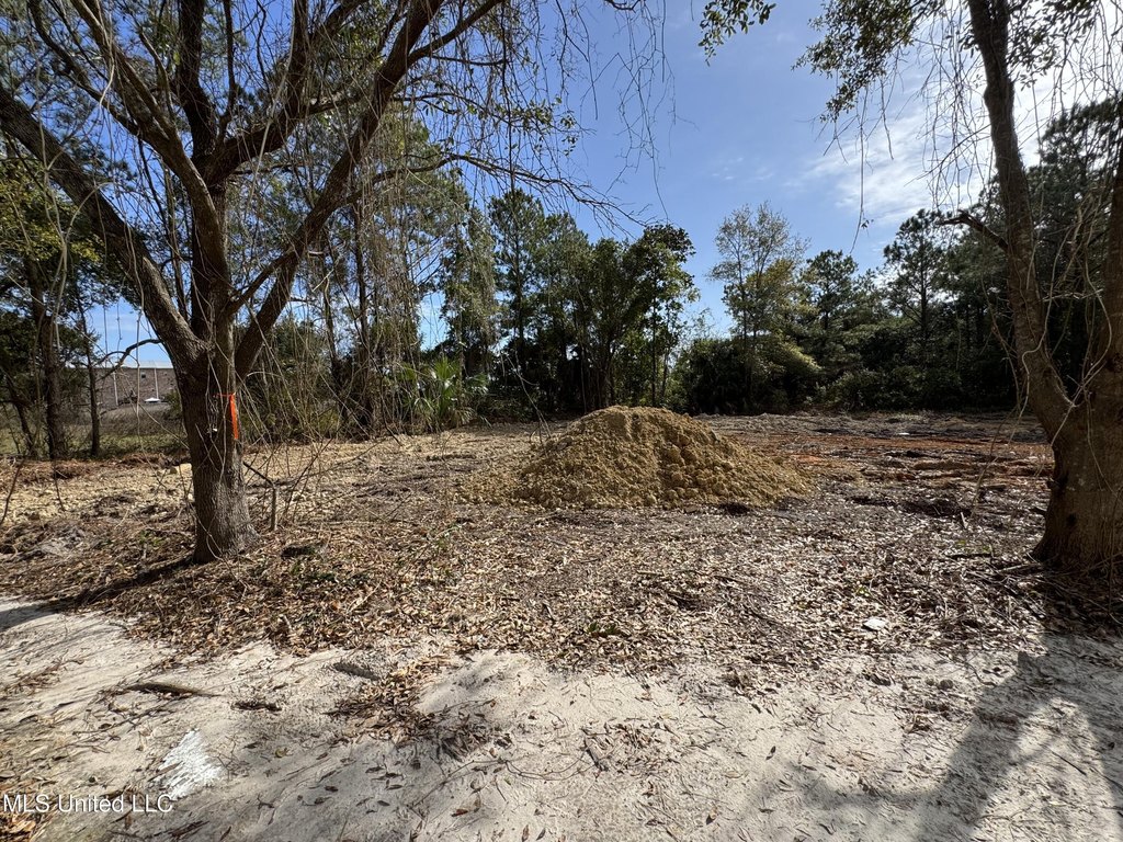 Picture 15