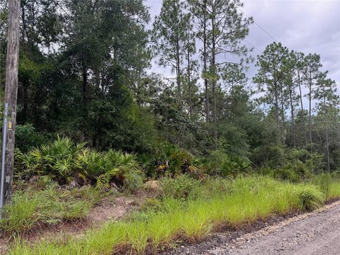 Land, DUNNELLON, FL