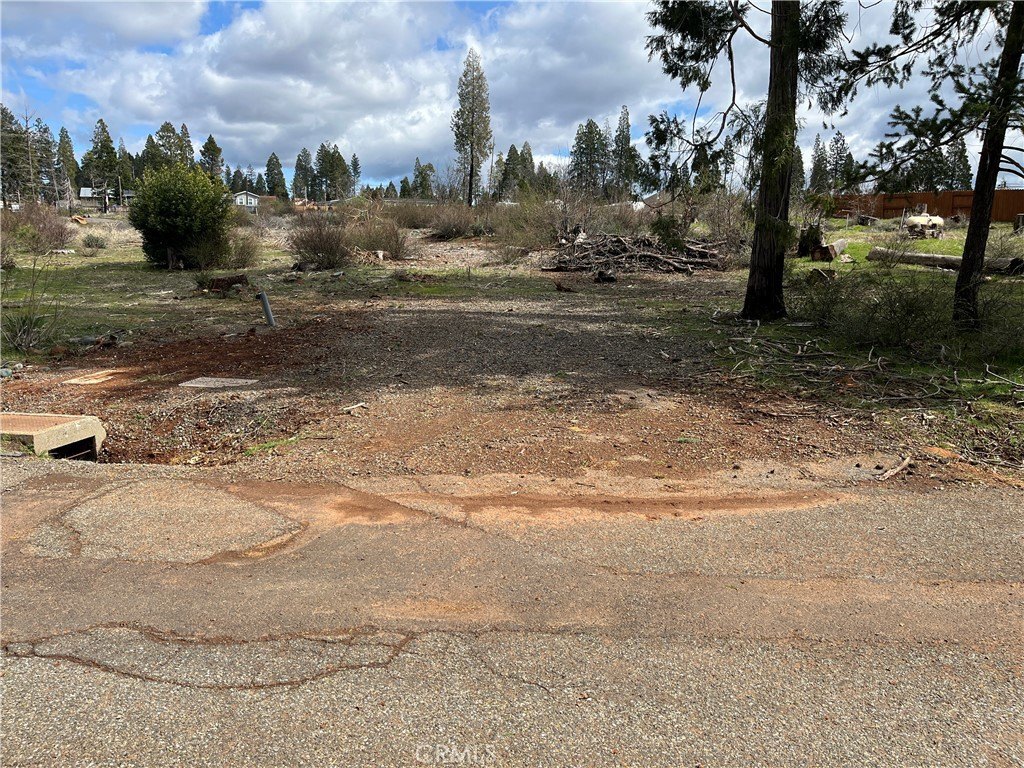 Picture 19