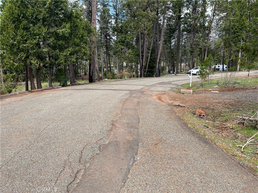 Picture 11