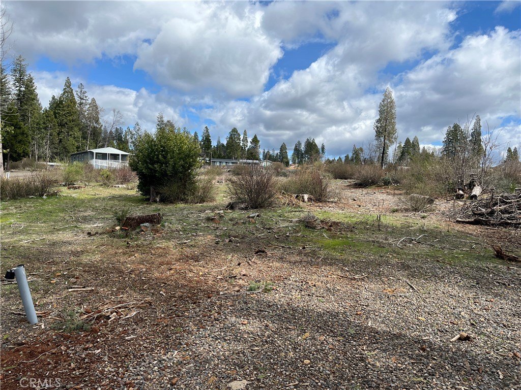 Picture 21