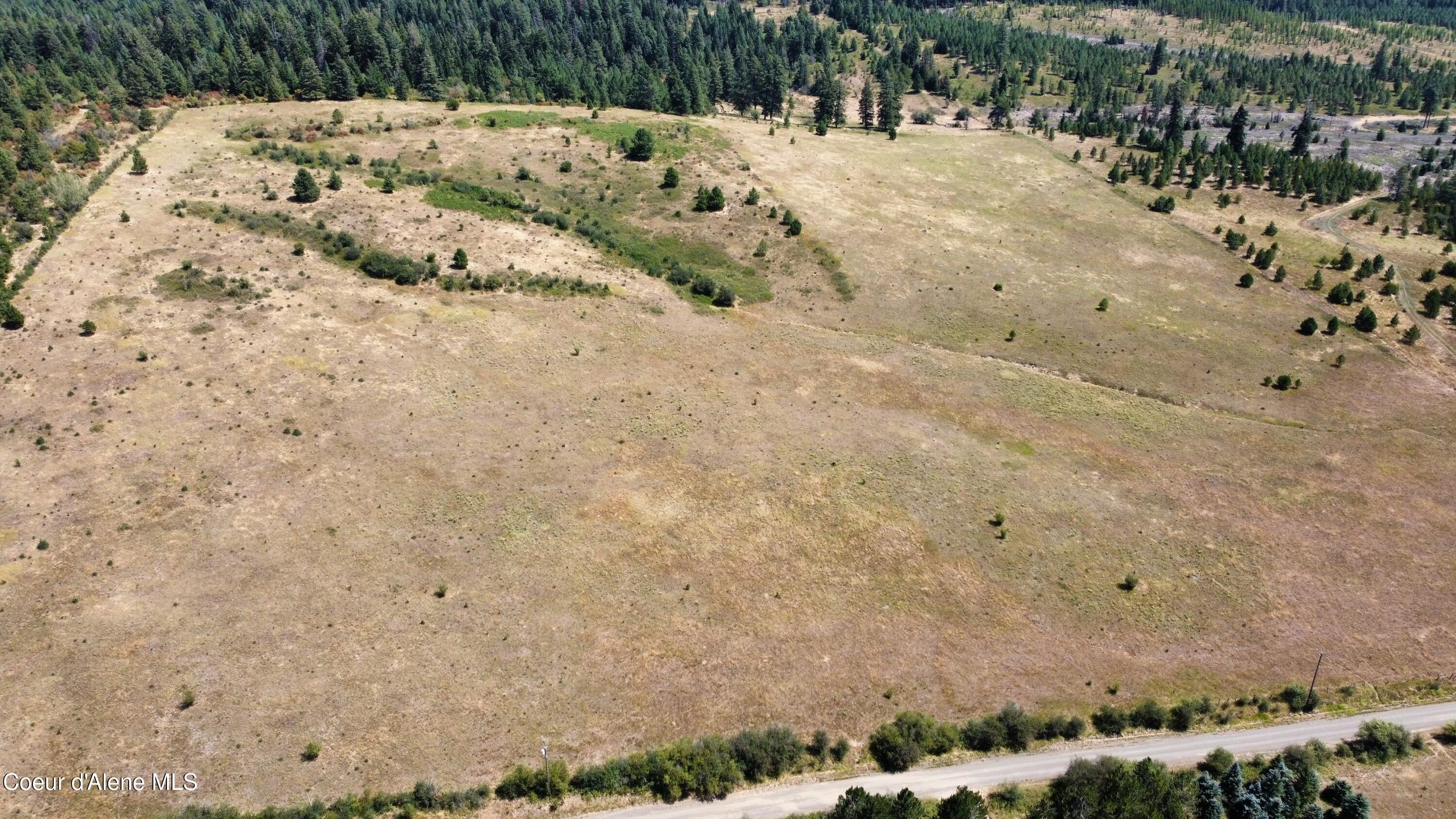 40 Acres in St. Maries