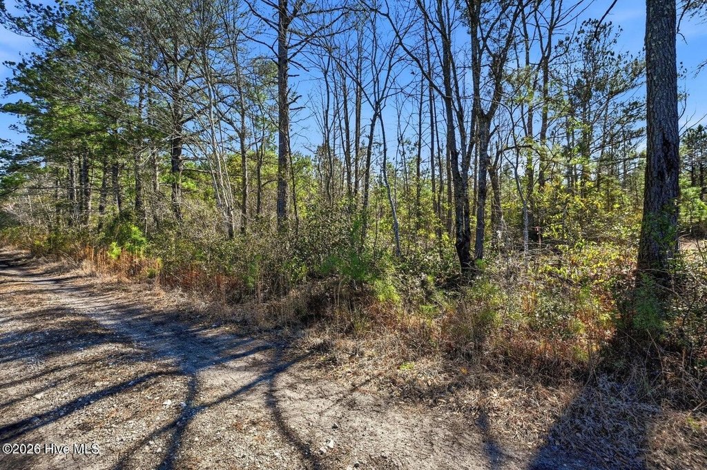 Picture 6