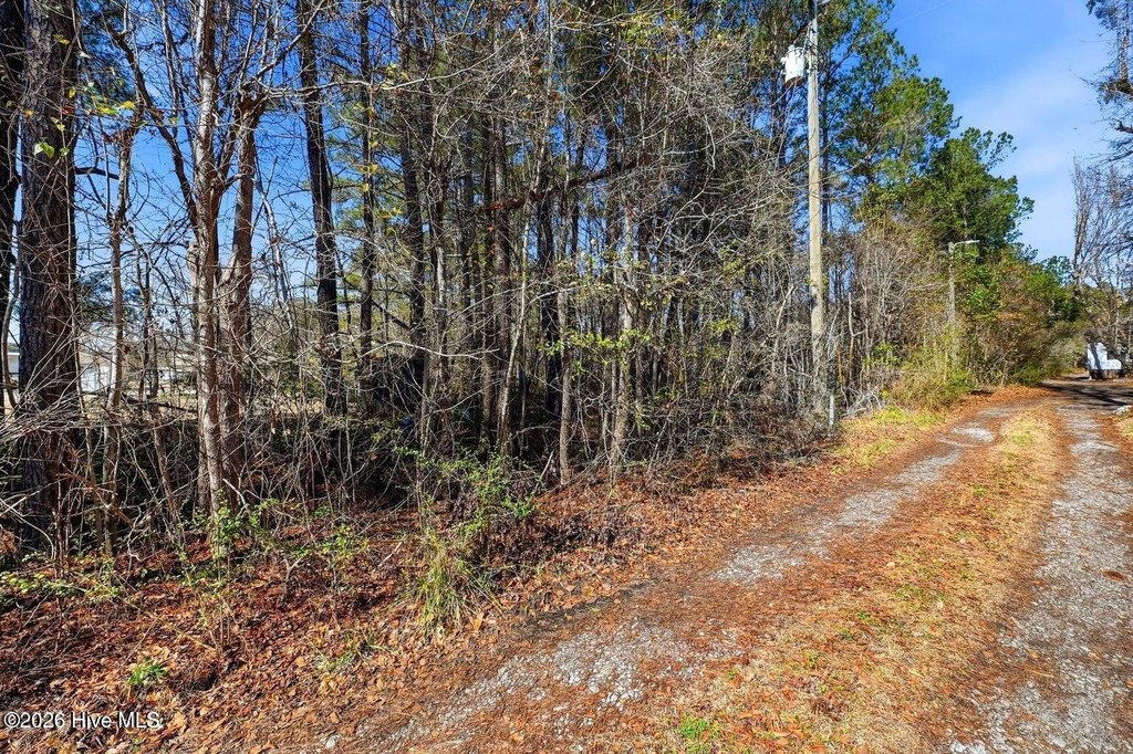 Picture 9