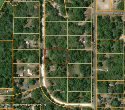 Dade City Land Parcel