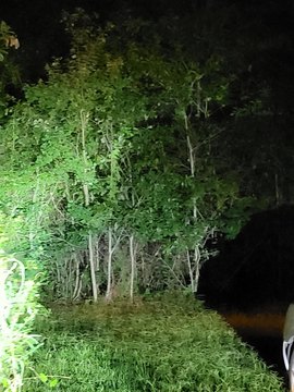 Residential Land in Picayune, MS