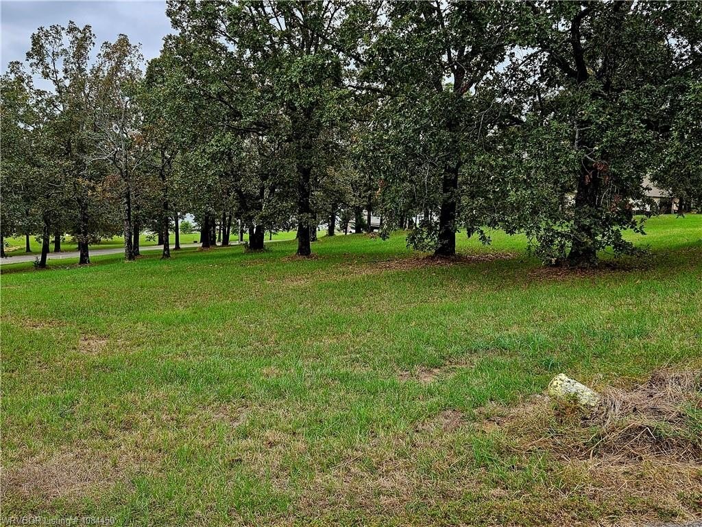 Picture 6