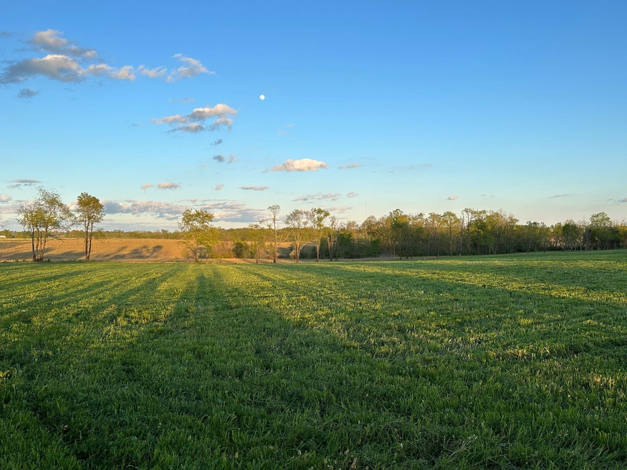 Scenic Lot in Carlisle, KY