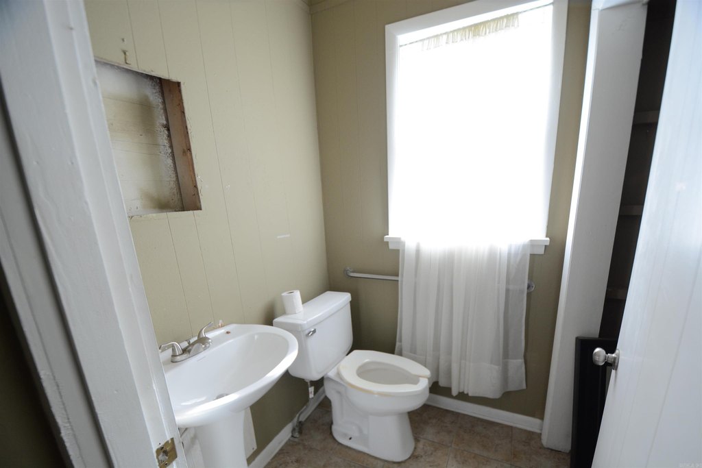 Picture 15