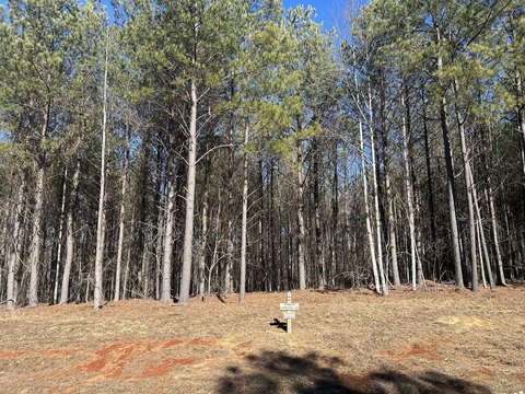 Land in Jasper Highlands Farms