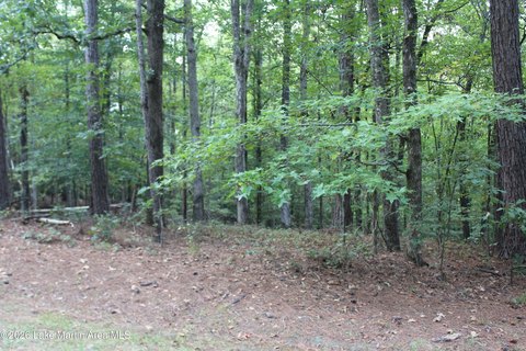 Land, Dadeville, AL