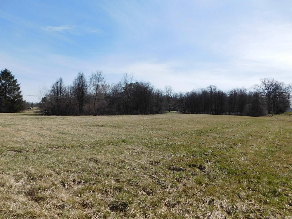 Picture 5