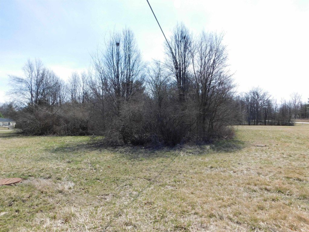 Picture 4