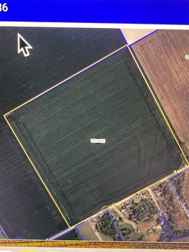 Agricultural Land with Road Frontage