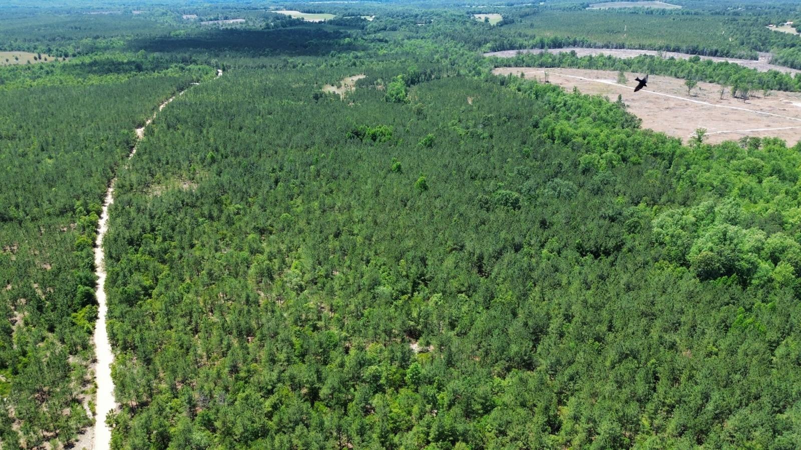 Diverse Recreational and Timber Tract