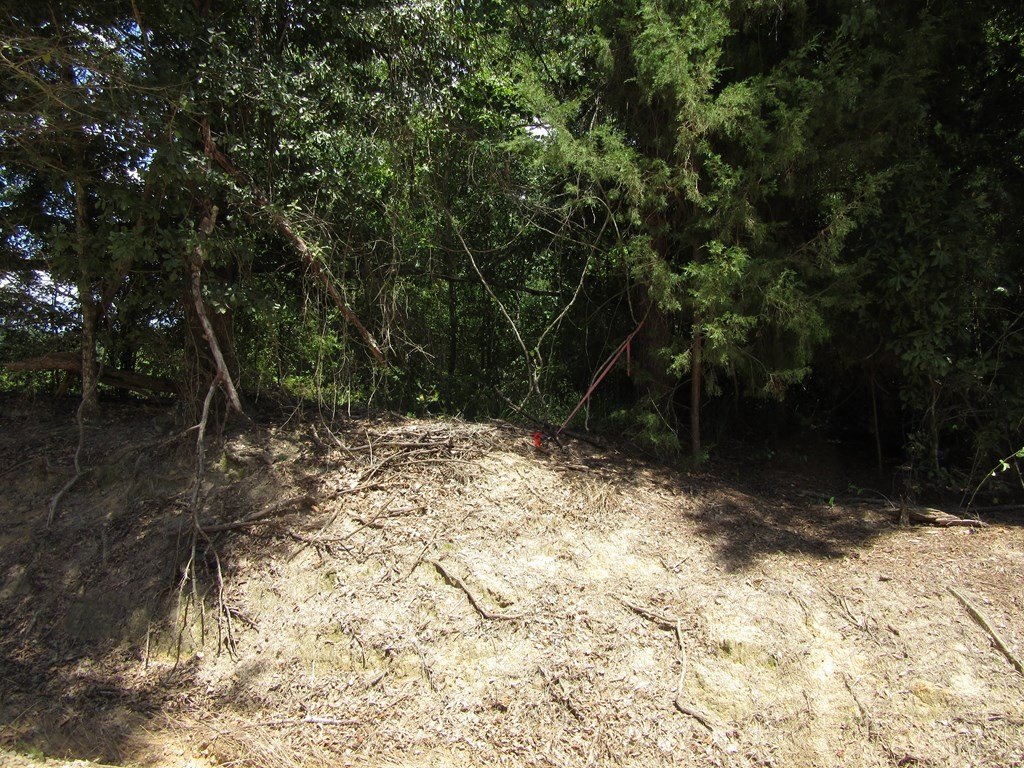 Picture 8