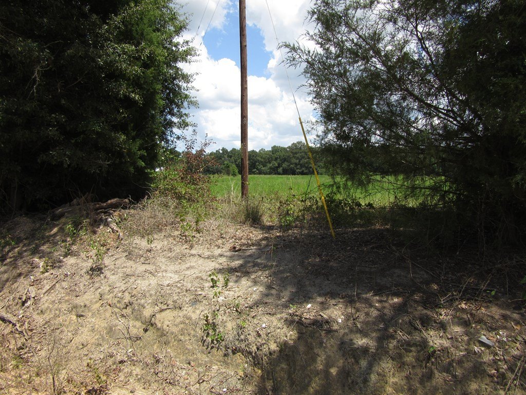 Picture 2