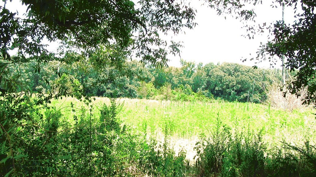 Picture 6