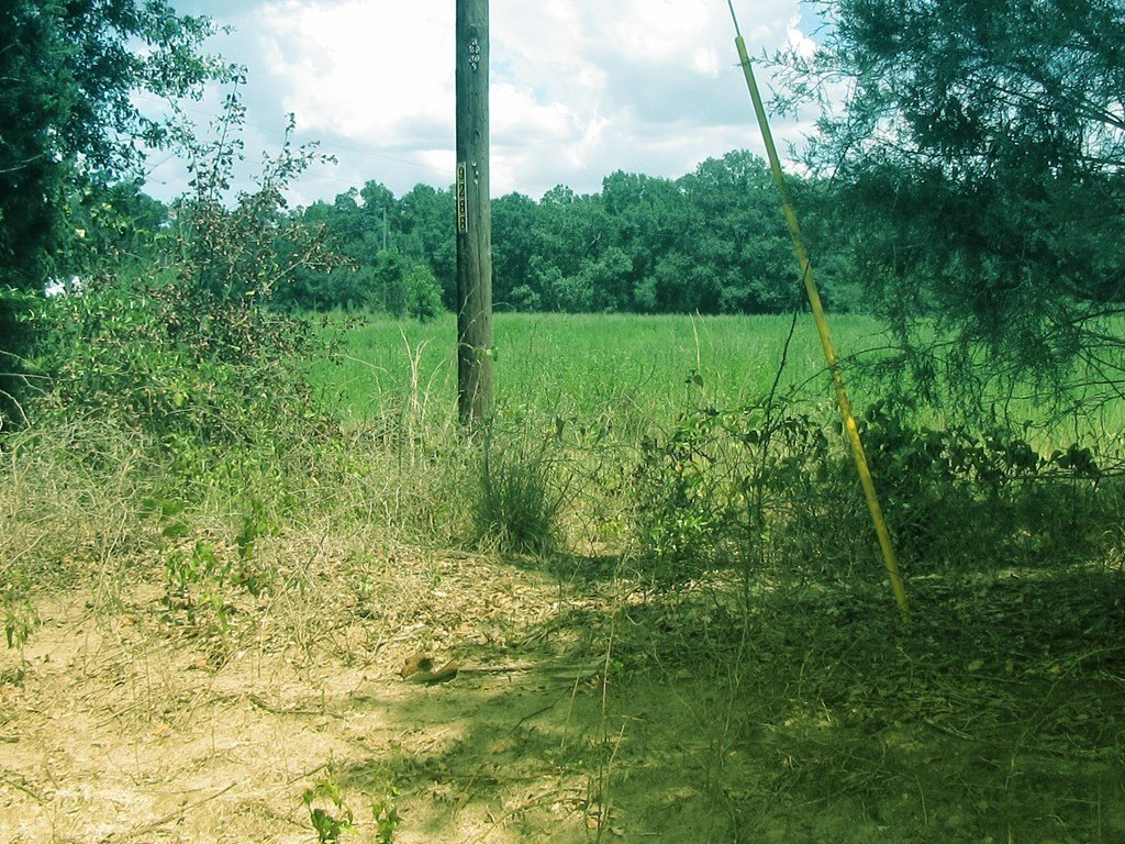 Picture 3