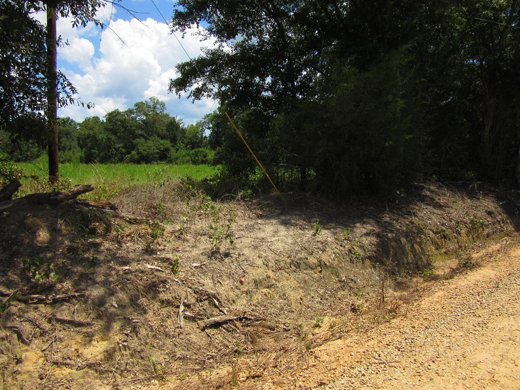 Picture 4