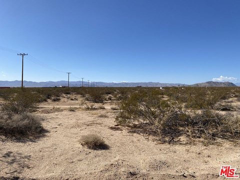 Land, Joshua Tree, CA