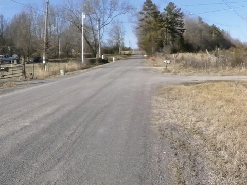 Wooded Land with Development Potential