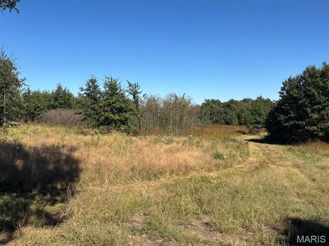 Secluded Acreage Near Mark Twain Lake