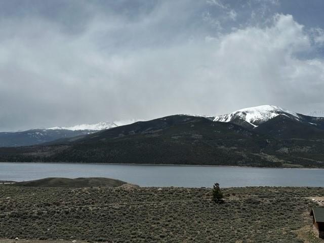 Picture 3
