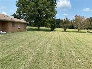 Picture 25