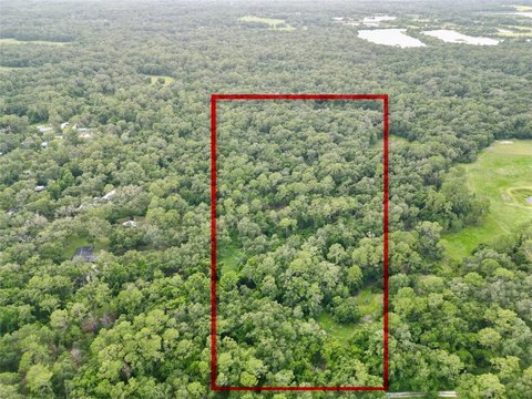 20 Acres of Untouched Land
