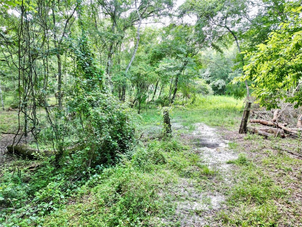 Picture 15