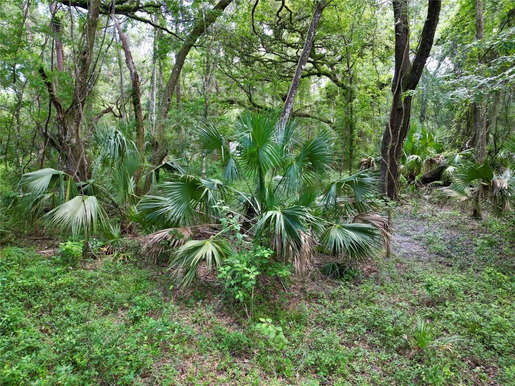 Picture 12