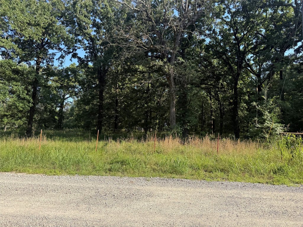 Picture 20