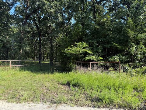 LAND - Honey Grove, TX