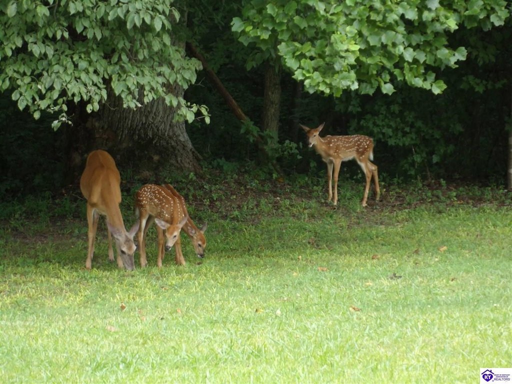 Picture 24