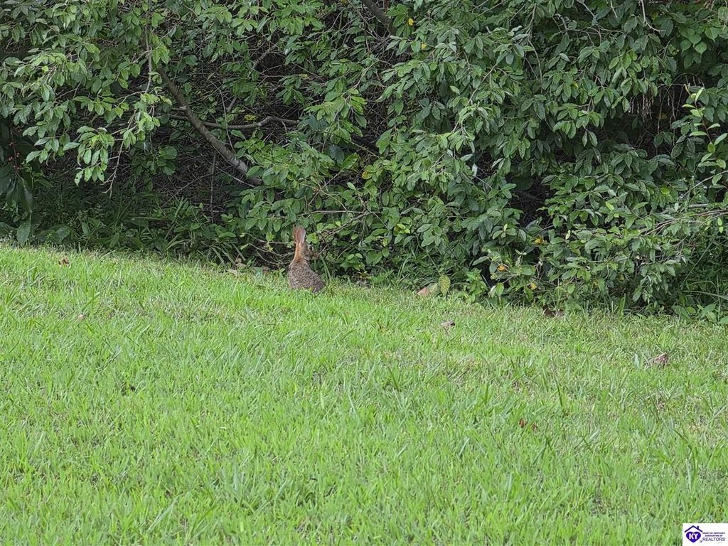 Picture 28